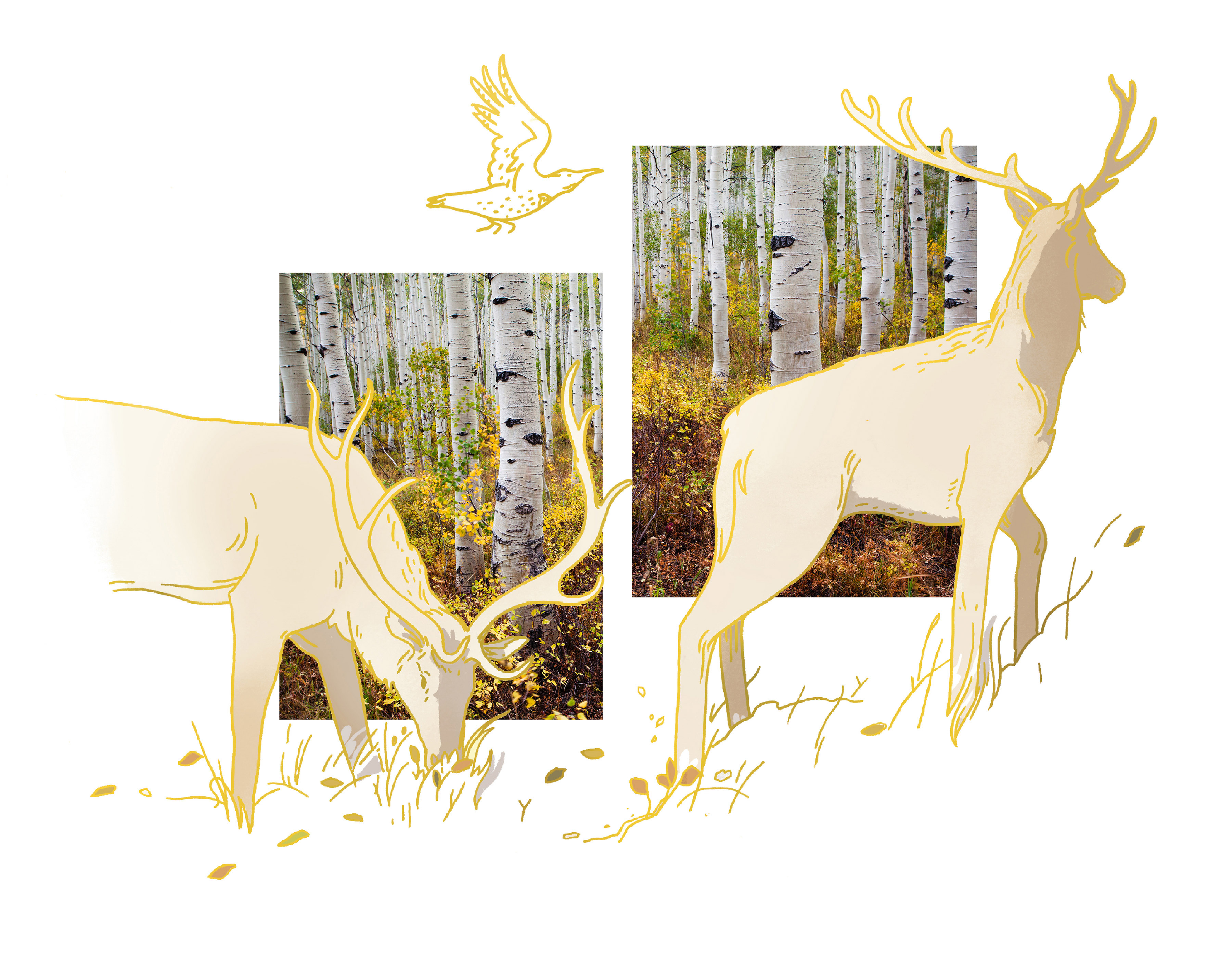 Animals move to resilient spaces as climate changes.